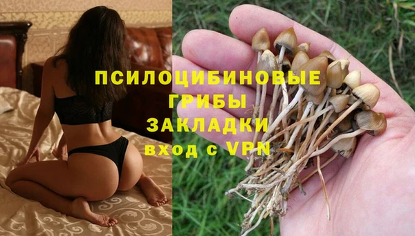 кокаин колумбия Белокуриха