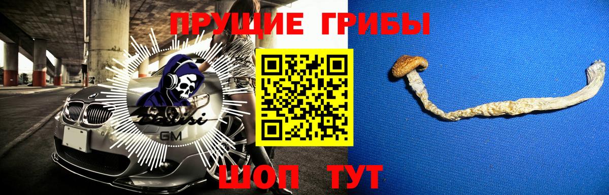 Галлюциногенные грибы ЛСД Валуйки